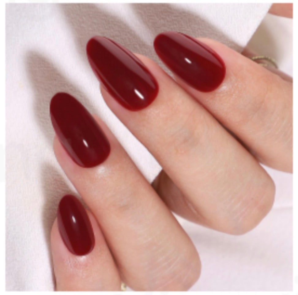 Holiday Collection