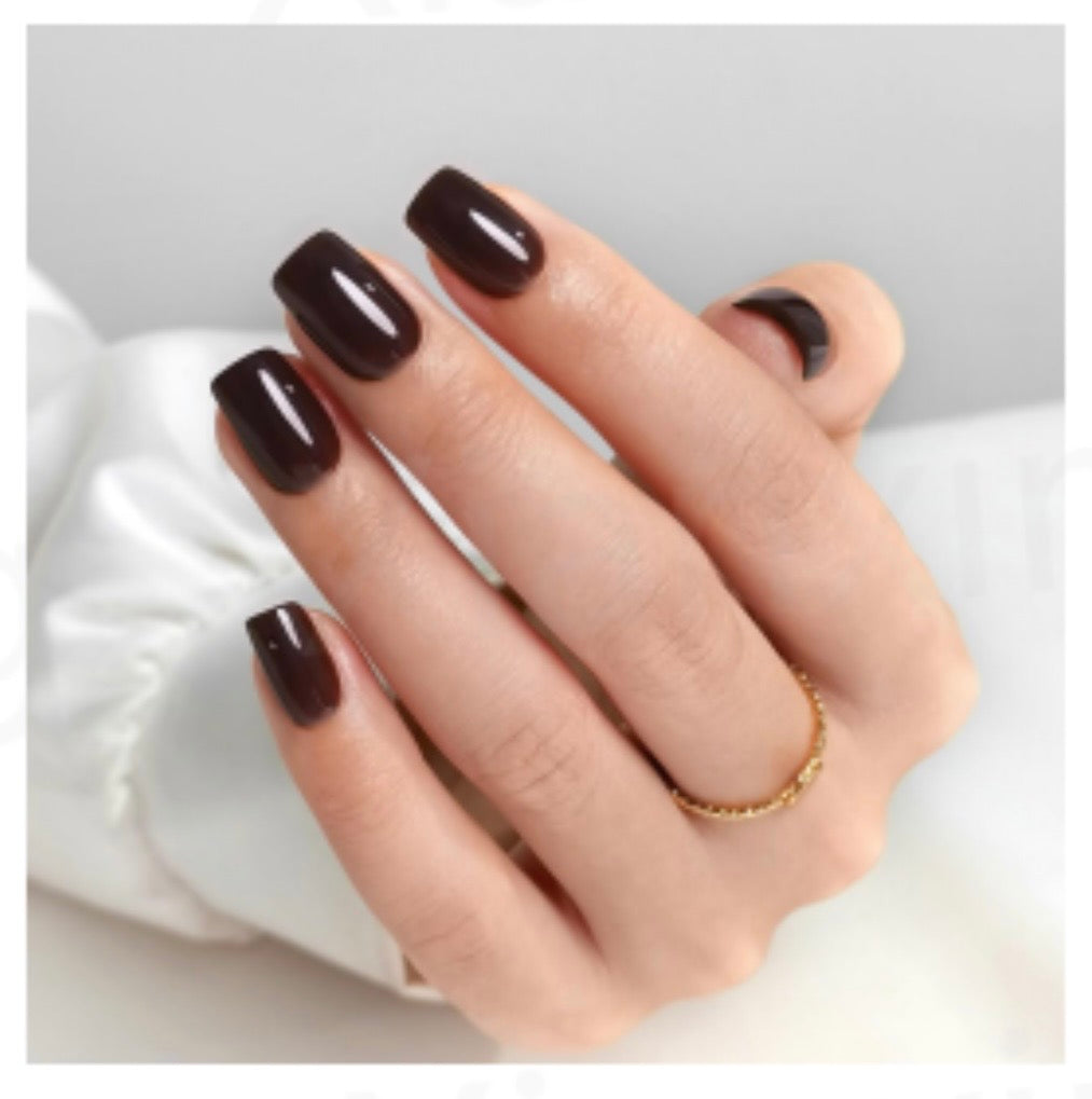 Fall Collection